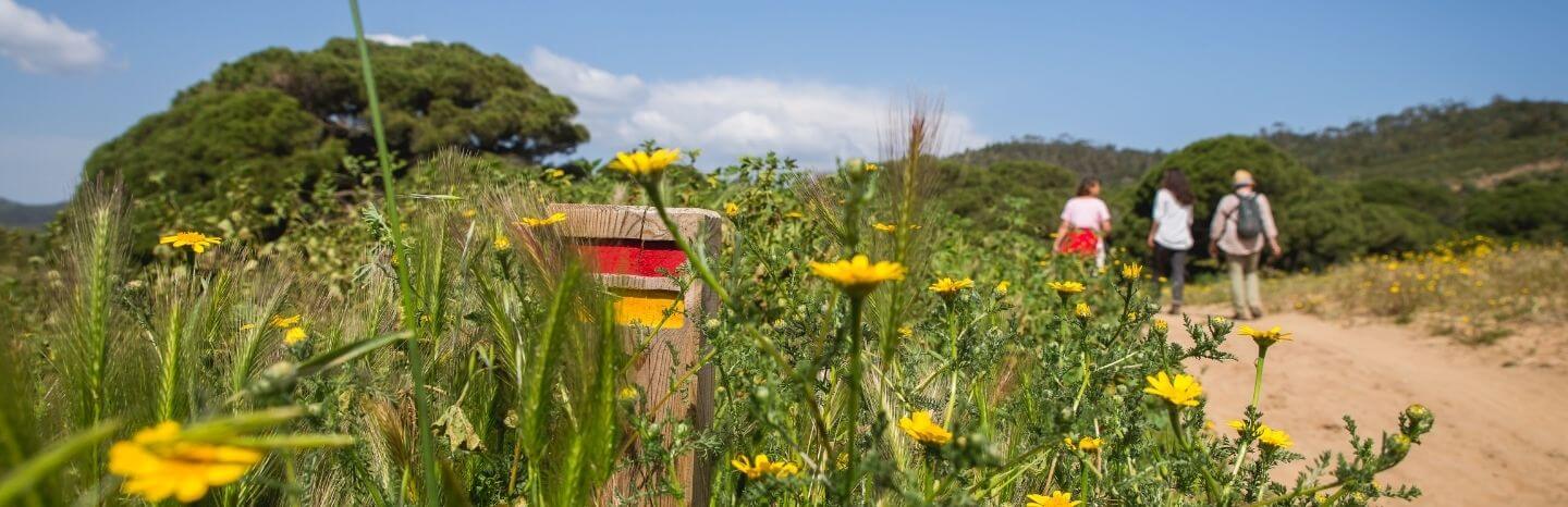 marcação de percurso circular da rota vicentina na primavera